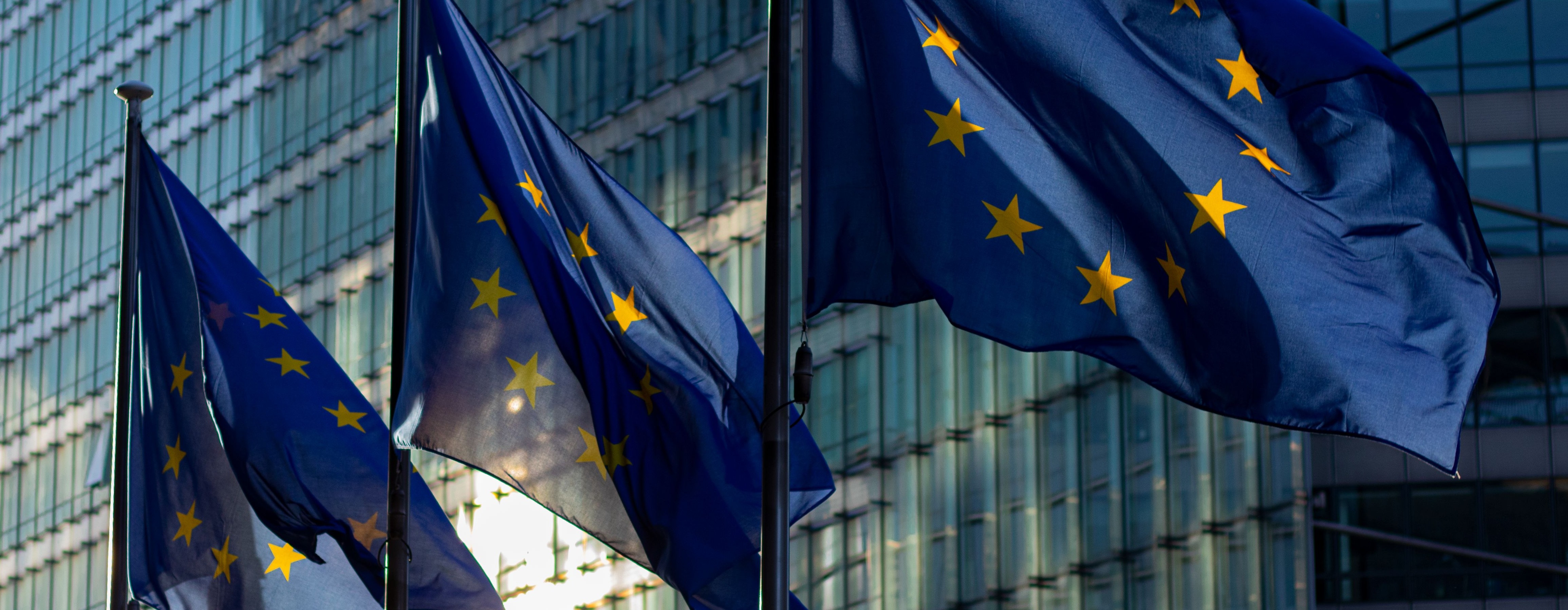 Polska jako baza do obsługi rynku UE