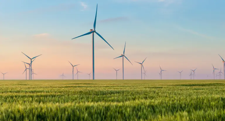 Poland’s green transformation is attracting the attention of European business