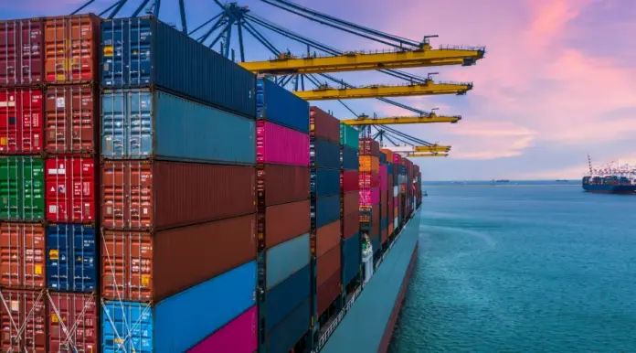 Exports in Poland in July 2025 – holiday slowdown, stable outlook